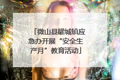 微山县驩城镇应急办开展“安全生产月”教育活动