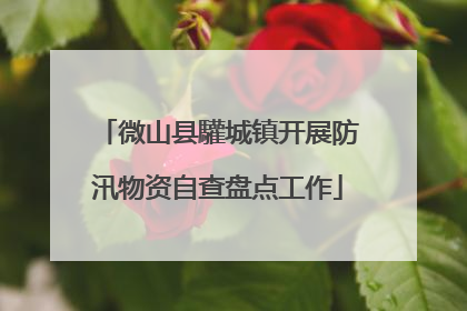 微山县驩城镇开展防汛物资自查盘点工作