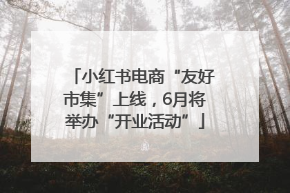 小红书电商“友好市集”上线，6月将举办“开业活动”