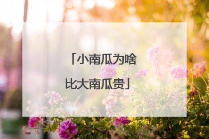 小南瓜为啥比大南瓜贵