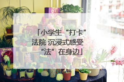 小学生“打卡”法院 沉浸式感受“法”在身边