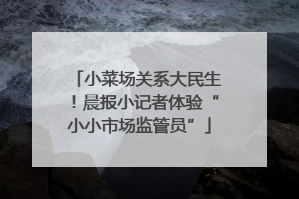 小菜场关系大民生！晨报小记者体验“小小市场监管员”