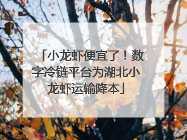小龙虾便宜了！数字冷链平台为湖北小龙虾运输降本