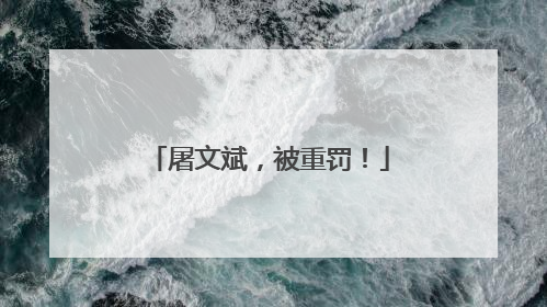 屠文斌，被重罚！