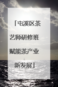 屯溪区茶艺师研修班赋能茶产业新发展