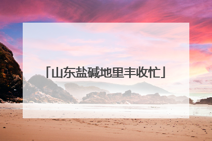 山东盐碱地里丰收忙