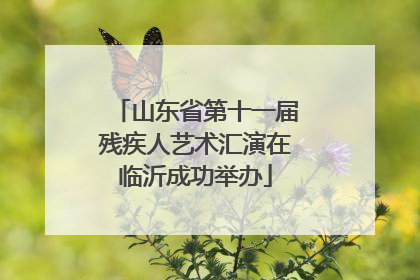 山东省第十一届残疾人艺术汇演在临沂成功举办