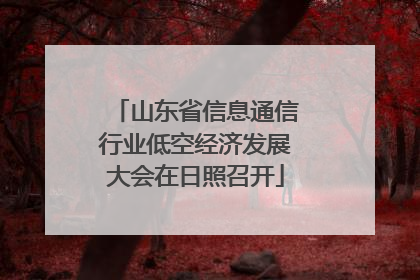 山东省信息通信行业低空经济发展大会在日照召开
