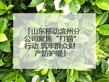 山东移动滨州分公司聚焦“打猫”行动 筑牢群众财产防护堤