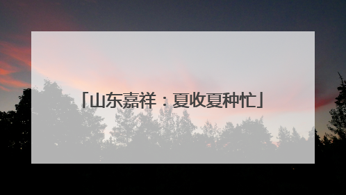 山东嘉祥：夏收夏种忙