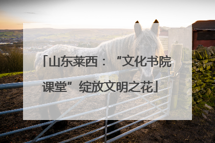 山东莱西：“文化书院课堂”绽放文明之花
