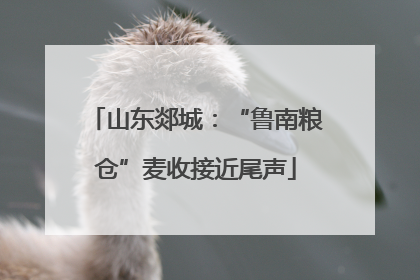 山东郯城：“鲁南粮仓”麦收接近尾声