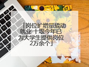 岗位扩增量撬动就业 十堰今年已为大学生提供岗位2万余个