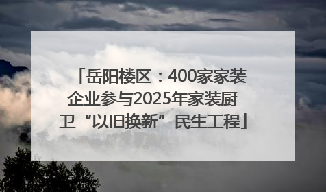 岳阳楼区：400家家装企业参与2025年家装厨卫“以旧换新”民生工程