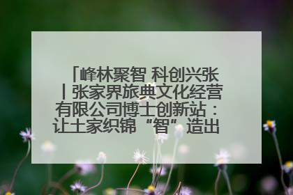 峰林聚智 科创兴张丨张家界旅典文化经营有限公司博士创新站：让土家织锦“智”造出非遗新传奇