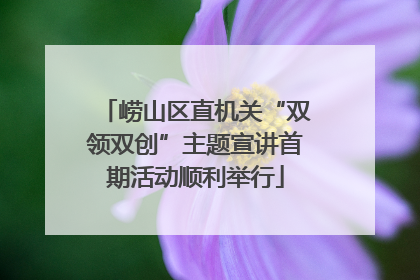 崂山区直机关“双领双创”主题宣讲首期活动顺利举行