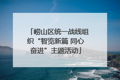 崂山区统一战线组织“智览新篇 同心奋进”主题活动