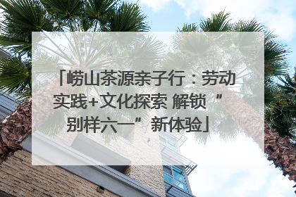 崂山茶源亲子行：劳动实践+文化探索 解锁“别样六一”新体验