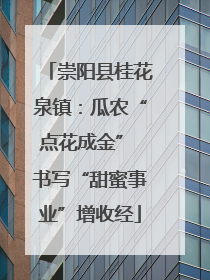 崇阳县桂花泉镇：瓜农“点花成金” 书写“甜蜜事业”增收经