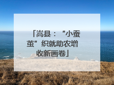 嵩县：“小蚕茧”织就助农增收新画卷