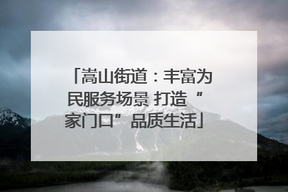 嵩山街道：丰富为民服务场景 打造“家门口”品质生活