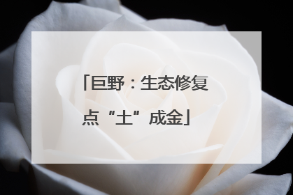 巨野：生态修复点“土”成金