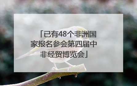 已有48个非洲国家报名参会第四届中非经贸博览会