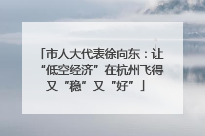 市人大代表徐向东：让“低空经济”在杭州飞得又“稳”又“好”
