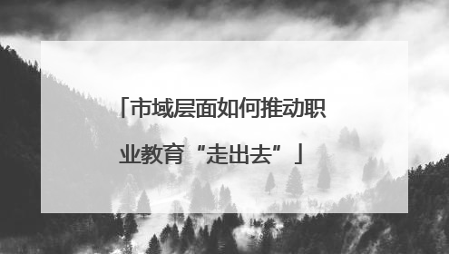 市域层面如何推动职业教育“走出去”