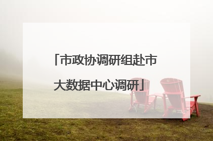 市政协调研组赴市大数据中心调研