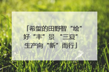 希望的田野智“绘”好“丰”景 “三夏”生产向“新”而行