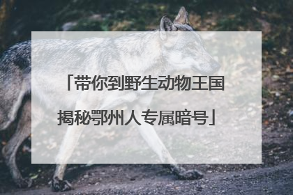带你到野生动物王国揭秘鄂州人专属暗号