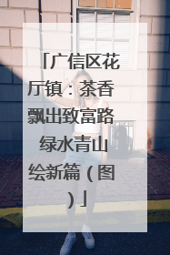 广信区花厅镇：茶香飘出致富路 绿水青山绘新篇（图）