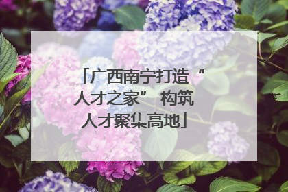 广西南宁打造“人才之家” 构筑人才聚集高地