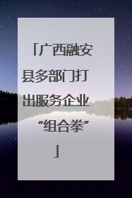 广西融安县多部门打出服务企业“组合拳”