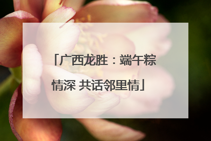 广西龙胜：端午粽情深 共话邻里情