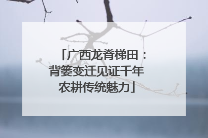 广西龙脊梯田：背篓变迁见证千年农耕传统魅力