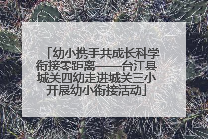幼小携手共成长科学衔接零距离——台江县城关四幼走进城关三小开展幼小衔接活动
