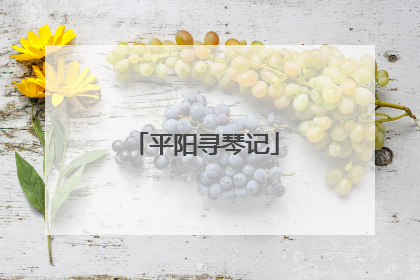 平阳寻琴记