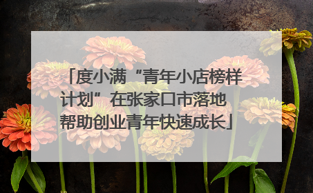 度小满“青年小店榜样计划”在张家口市落地 帮助创业青年快速成长