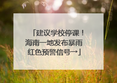 建议学校停课！海南一地发布暴雨红色预警信号→