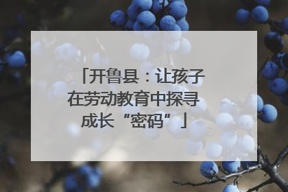 开鲁县：让孩子在劳动教育中探寻成长“密码”