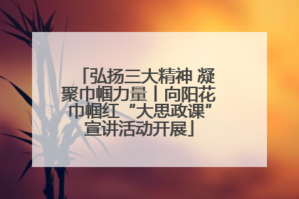 弘扬三大精神 凝聚巾帼力量丨向阳花巾帼红“大思政课”宣讲活动开展
