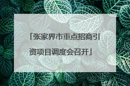 张家界市重点招商引资项目调度会召开