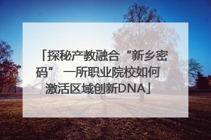 探秘产教融合“新乡密码” 一所职业院校如何激活区域创新DNA