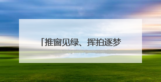 推窗见绿、挥拍逐梦，东营港“小城大爱”奏响文明新乐章