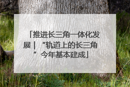 推进长三角一体化发展｜“轨道上的长三角”今年基本建成