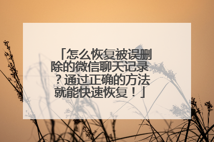 怎么恢复被误删除的微信聊天记录？通过正确的方法就能快速恢复！