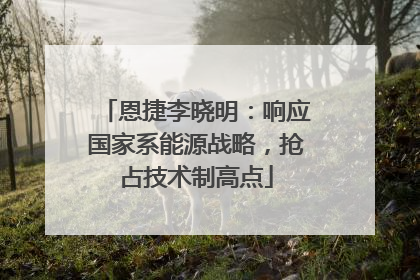 恩捷李晓明：响应国家系能源战略，抢占技术制高点