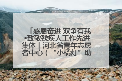 感恩奋进 双争有我•致敬残疾人工作先进集体丨河北省青年志愿者中心（“小橘灯”助残接力计划实施团队）：用温暖陪伴，守护特殊孩子成长